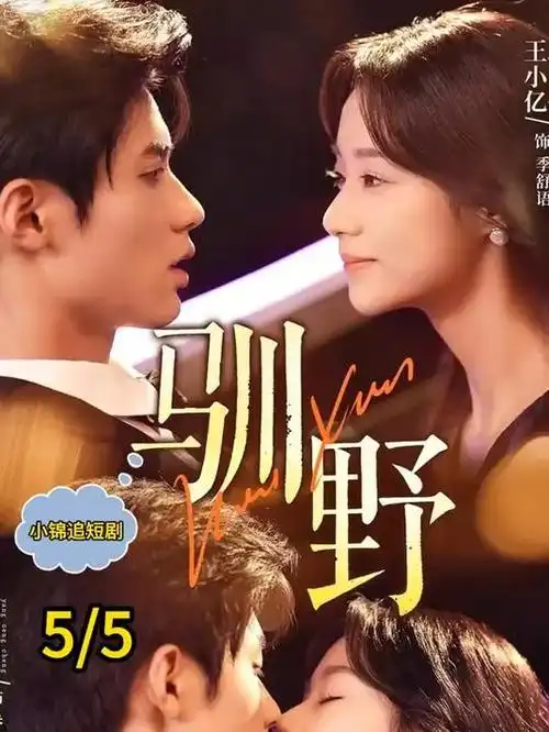 霓虹之下热播电视剧全集在线观看